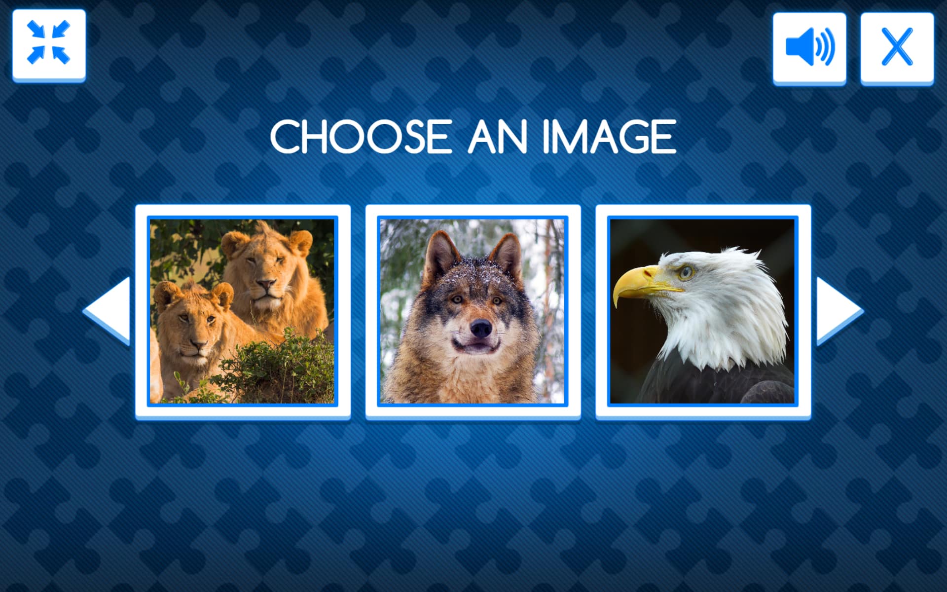 Read more about the article test1